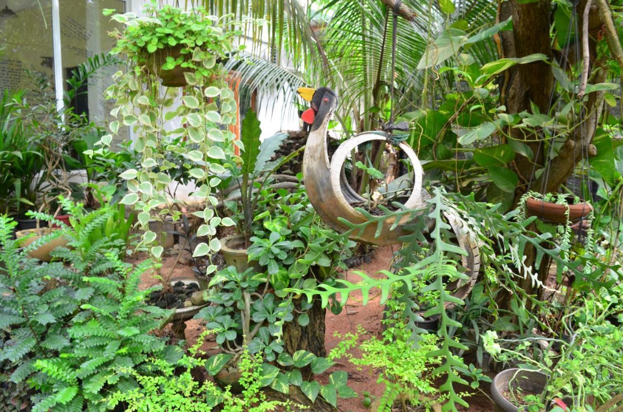 Green Garden Resort Habarana Exterior photo