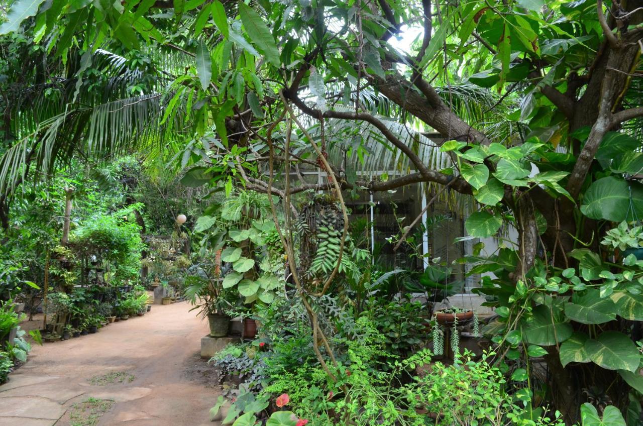 Green Garden Resort Habarana Exterior photo